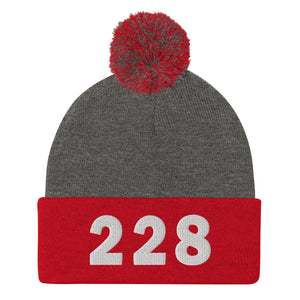 228 Area Code Pom-Pom Beanie