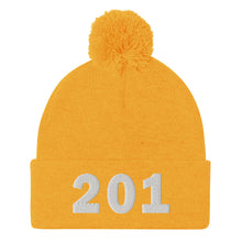 Load image into Gallery viewer, 201 Area Code Pom-Pom Beanie