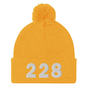 228 Area Code Pom-Pom Beanie