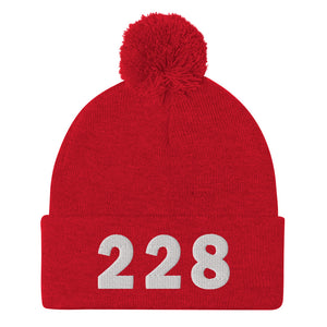 228 Area Code Pom-Pom Beanie