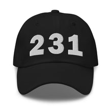 Load image into Gallery viewer, Black 231 area code hat with the state of Michigan embroidered on the side.