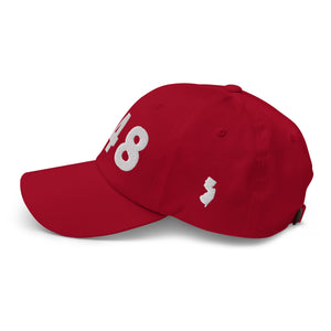 848 Area Code Dad Cap