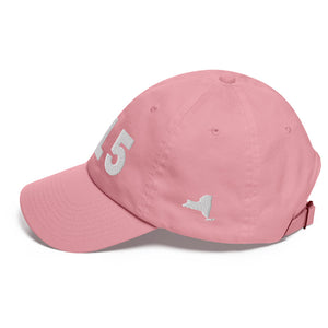 315 Area Code Dad Hat