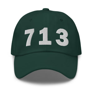 713 Area Code Dad Hat