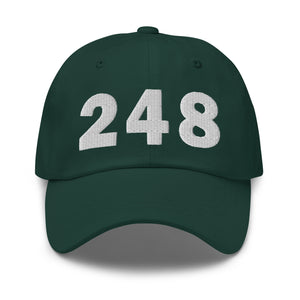 248 Area Code Dad Hat