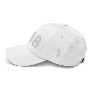 848 Area Code Dad Cap