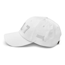 Load image into Gallery viewer, 617 Area Code Dad Hat