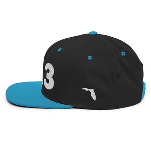 813 Area Code Snapback Hat