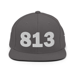 813 Area Code Snapback Hat