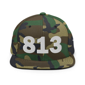 813 Area Code Snapback Hat