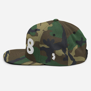 848 Area Code Snapback Hat