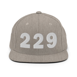 229 Area Code Snapback Hat