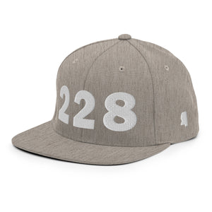 228 Area Code Snapback Hat