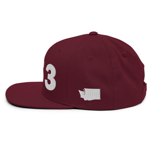 253 Area Code Snapback Hat