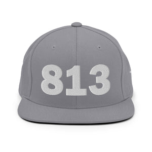 813 Area Code Snapback Hat