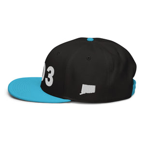 203 Area Code Snapback Hat