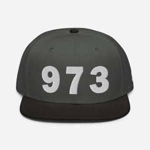 973 Area Code Snapback Hat