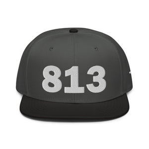 813 Area Code Snapback Hat