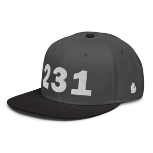 231 Area Code Snapback Hat