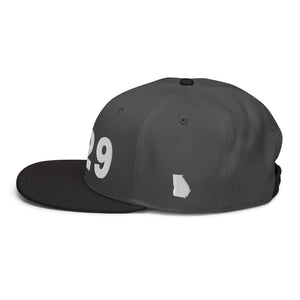 229 Area Code Snapback Hat