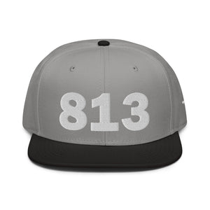 813 Area Code Snapback Hat