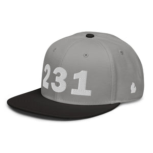 231 Area Code Snapback Hat