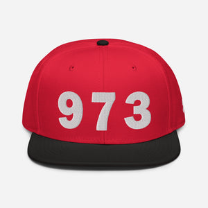 973 Area Code Snapback Hat