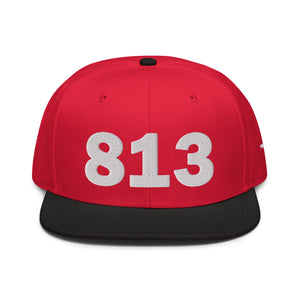 813 Area Code Snapback Hat