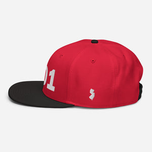 201 Area Code Snapback Hat