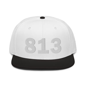 813 Area Code Snapback Hat