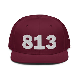 813 Area Code Snapback Hat