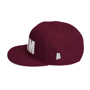 Birmingham Alabama Snapback Hat (Otto Cap)