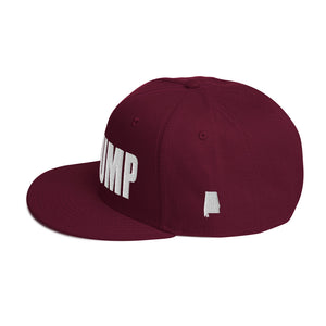 Montgomery Alabama Snapback Hat