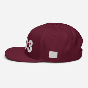 303 Area Code Snapback Hat