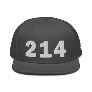 214 Area Code Snapback Hat