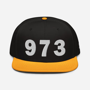 973 Area Code Snapback Hat