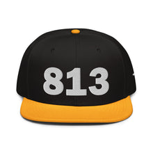 Load image into Gallery viewer, 813 Area Code Snapback Hat