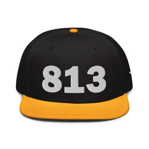 813 Area Code Snapback Hat