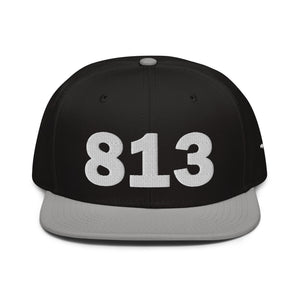 813 Area Code Snapback Hat