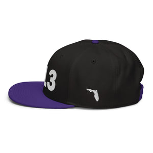 813 Area Code Snapback Hat