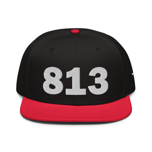 813 Area Code Snapback Hat