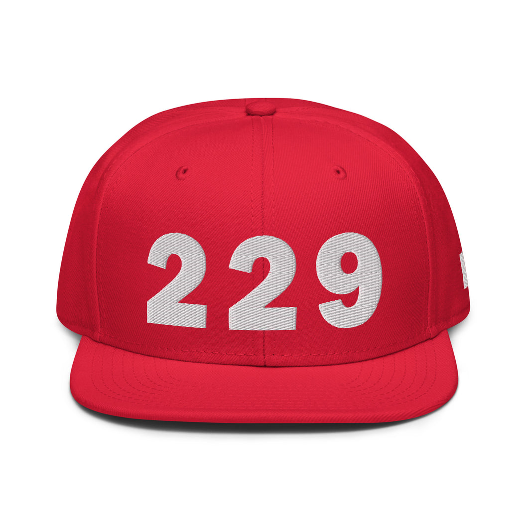 229 Area Code Snapback Hat