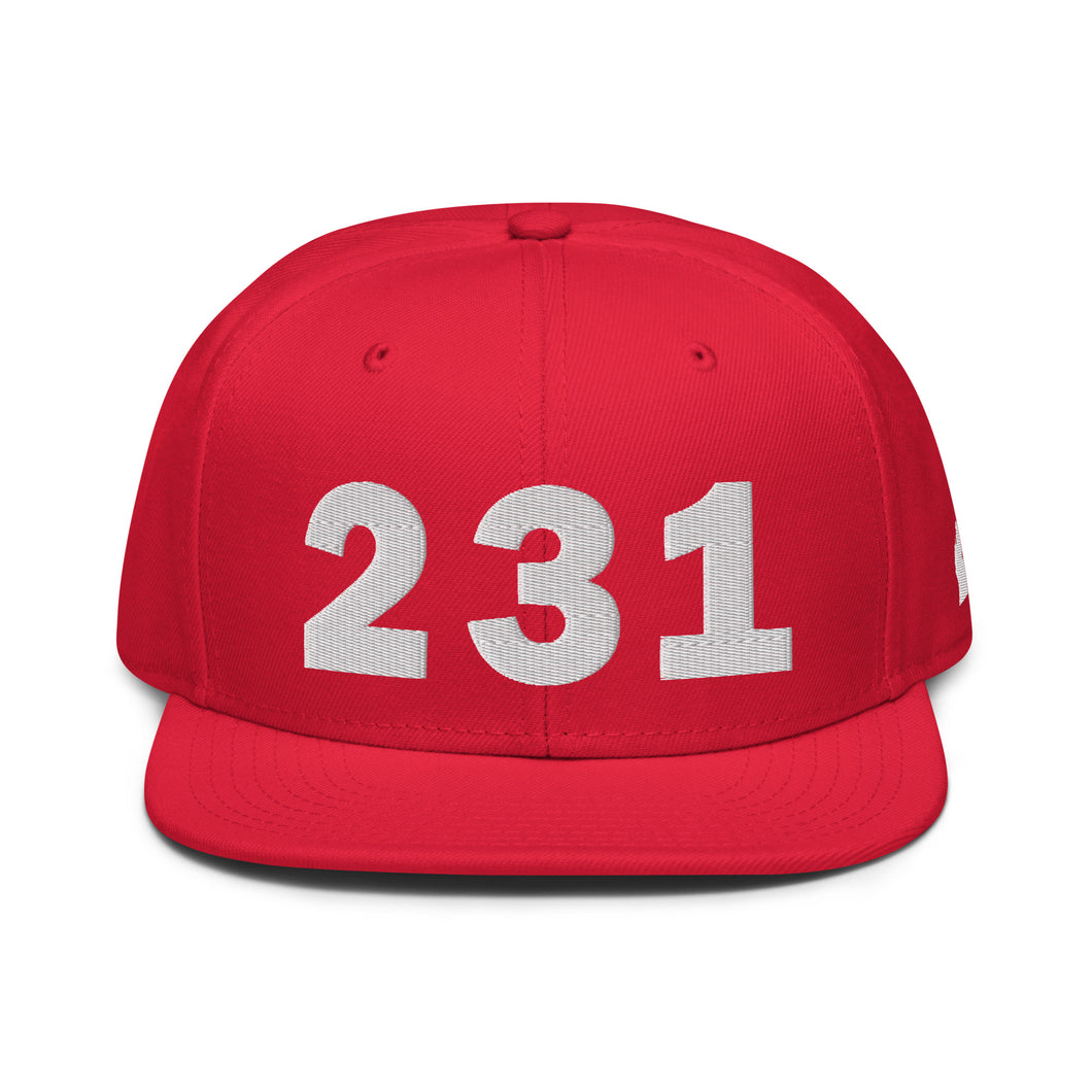 231 Area Code Snapback Hat