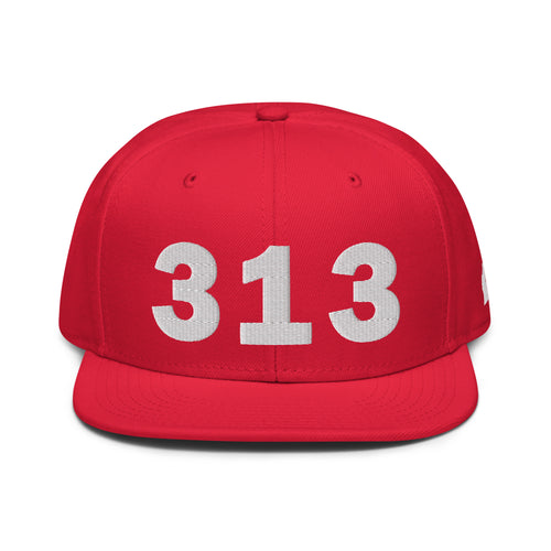 313 Area Code Snapback Hat