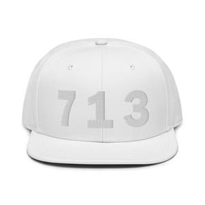 713 Area Code Snapback Hat