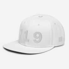 Load image into Gallery viewer, 719 Area Code Snapback Hat